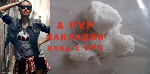 эйфоретик Инсар