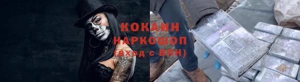 гидропоника Иннополис
