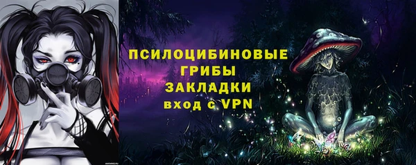 ECSTASY Инта