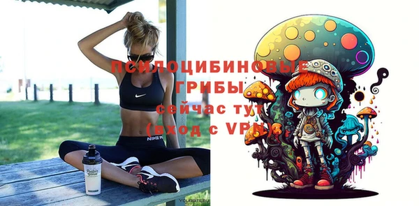 гидропоника Иннополис