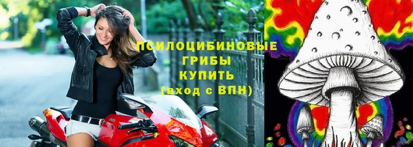 эйфоретик Инсар
