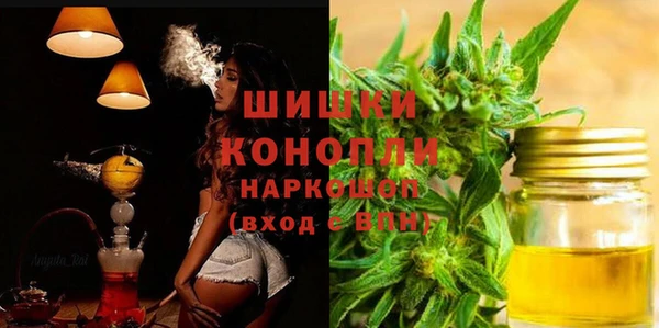 PSILOCYBIN Каменка