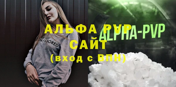 эйфоретик Инсар